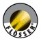 Flosser