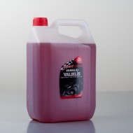 EXPERT dzinēja tīrītājs expert 5l