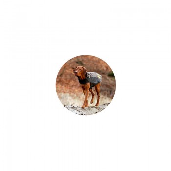 Karlie Flamingo suņu mētelis TOUCHDOG S roza