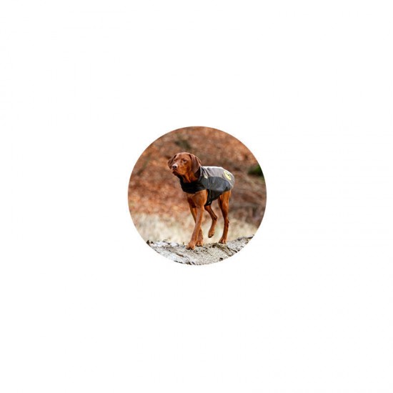 Karlie Flamingo suņu mētelis TOUCHDOG XL brūns