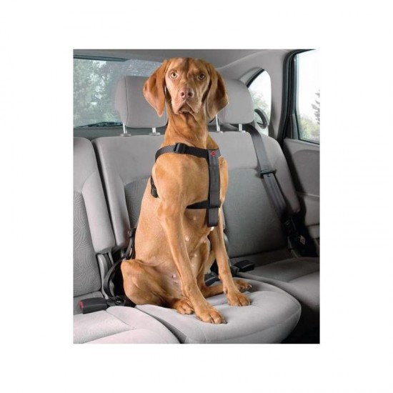 Auto drošības siksnas D&D Dog-Secure XS 20-50 cm