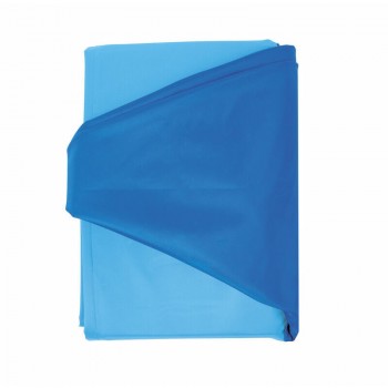 RECORD baseins suņiem BLUE 120x30cm