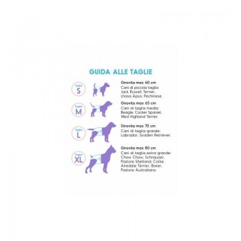 Autiņi suņiem AssorbiPiu S 12gb. Autiņi suņiem AssorbiPiu S 12gb.