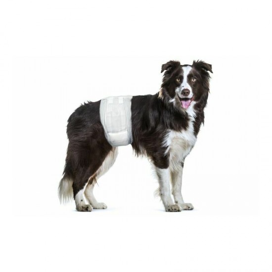 Flamingo autiņbiksītes suņiem For Male M 46-60cm 12gb. Flamingo autiņbiksītes suņiem For Male M 46-60cm 12gb.