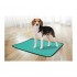 Flamingo TRAINING PAD GREEN S ANTISLIP 54x38cm - apmācības paliktnis