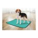 Flamingo TRAINING PAD GREEN S ANTISLIP 54x38cm - apmācības paliktnis