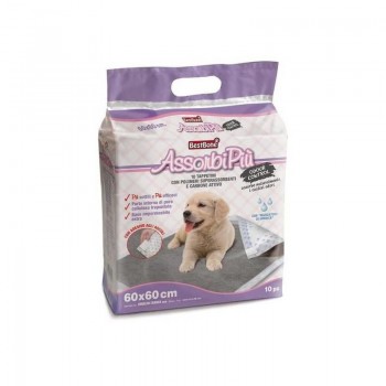 Paladziņš AssorbiPiu ODOUR CONTROL 60x60cm 10gb.