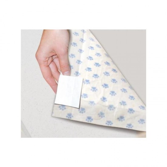 Paladziņš AssorbiPiu ODOUR CONTROL 60x60cm 10gb.