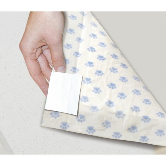 Paladziņš RECORD 60x90cm 50gb.