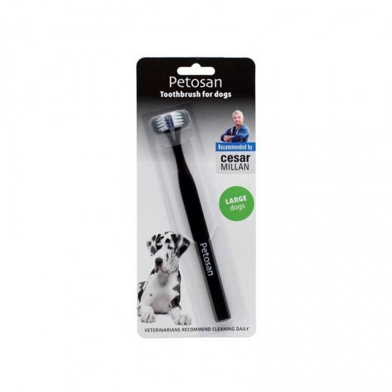 Petosan zobu sūka Large 16 kg +