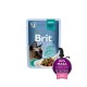 Brit Premium Cat Delicate Fillets in Gravy with Beef 85 g konservi kaķiem