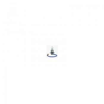 Autolampa H3 12V 55W PK22S