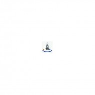 Autolampa H3 24V 70W PK22S