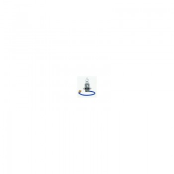 Autolampa H3 24V 70W PK22S