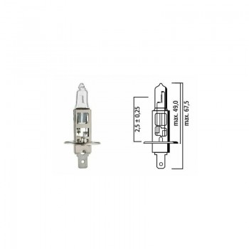 Autolampa H1 24V 70W P14.5s