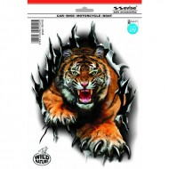 Tīģeris ar asiem nagiem 24x18cm