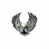 Ērglis, 2.gab. 15x14cm