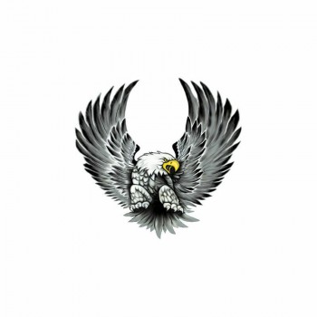 Ērglis, 2.gab. 15x14cm