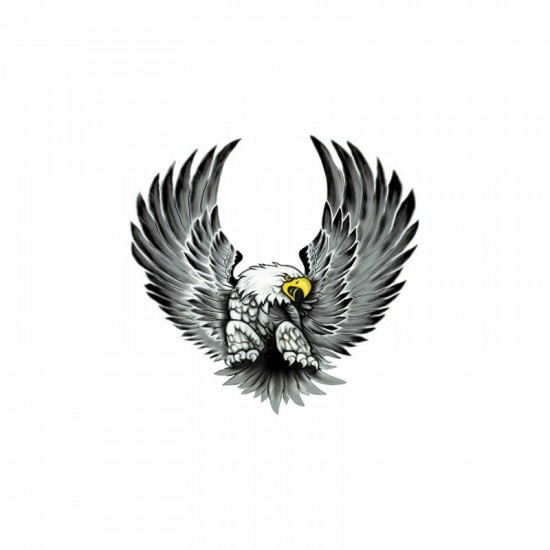 Ērglis, 2.gab. 15x14cm