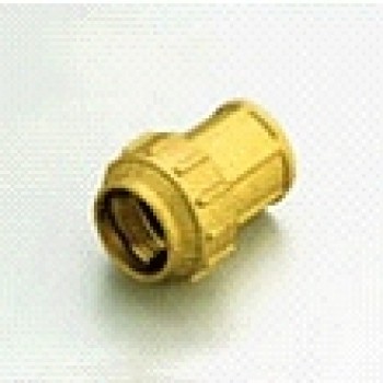 Misiņa pāreja ar iekšējo vītni