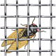 Insektu siets austs, izgatavots no karsti cinkotas metāla stieples 2.8*2.8/0.4mm 2.8*2.8/0.4mm H 0.6; L 10m