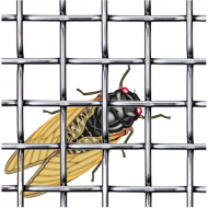 Insektu siets austs, izgatavots no karsti cinkotas metāla stieples 2.8*2.8/0.4mm 2.8*2.8/0.4mm H 1.0; L 10m