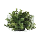 Multi panelis RAL6005 zaļš 0,6*1,5M 50*50/2.5/3.2MM