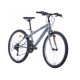 Vīriešu velosipēds 24'' ''TORINO', pelēks