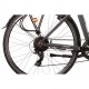 Elektriskais velosipēds DENVER EMOTIVE, izmērs 28