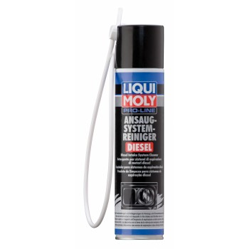 LIQUI MOLY piedeva liqui moly dīzeļa daļīņu filtra aizsardzībai 250 ml