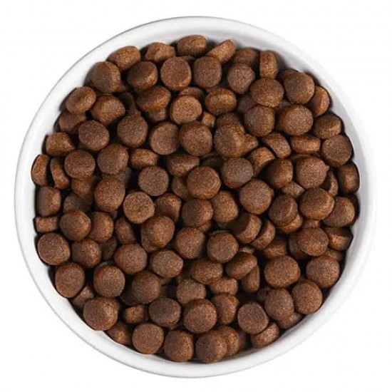 Ambrosia Grain Free Growth for Large Breeds Puppy and Junior Fresh Chicken & Salmon 12kg