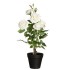 Mākslīgie augi 4Living Rozes lielās baltas 49cm