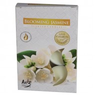 Tējassvece Aura Blooming Jasmine 3-4h 6gab.