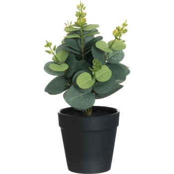 Mākslīgie ziedi 4Living Eucalyptus 26cm