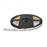 LED lenta 4.8W/m/6000K 5m 450lm/m IP65