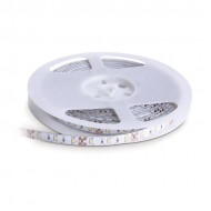 LED lenta 4.8W/m/6000K 5m 500lm/m IP20