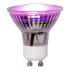 Spuldze Plant Light PAR16 3.5W/prosper GU10 42lm /100