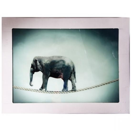 Stikla fotoglezna ZIRKUS ELEFANT 90x120cm