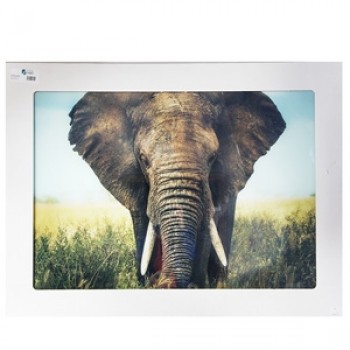 Stikla fotoglezna ELEFANT 90x120cm