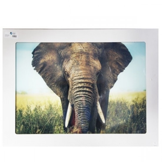 Stikla fotoglezna ELEFANT 90x120cm