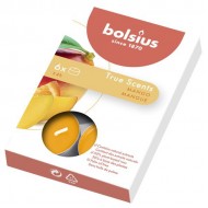 Tējassveces arom. 6gab. 4h Mango