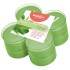 Tējassveces arom. Maxi 8gab. 8h Green tea