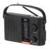 Radio Trevi RA 7F25 BT