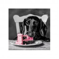 Foto glezna 30x30 Dachshund