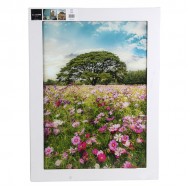 Foto glezna 50x70cm MEADOW