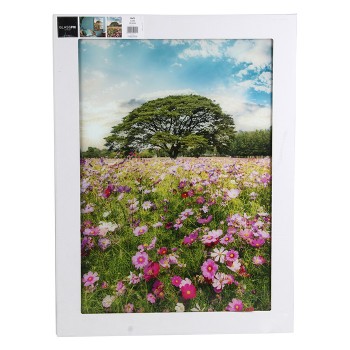 Foto glezna 50x70cm MEADOW