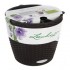 Puķu pods Lechuza Nido cottage 28 moka