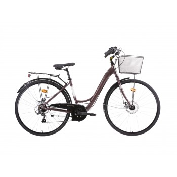 Sieviešu velosipēds "RAILWAY LADY 18v" 28", Brūns