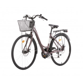 Sieviešu velosipēds "RAILWAY LADY 18v" 28", Brūns