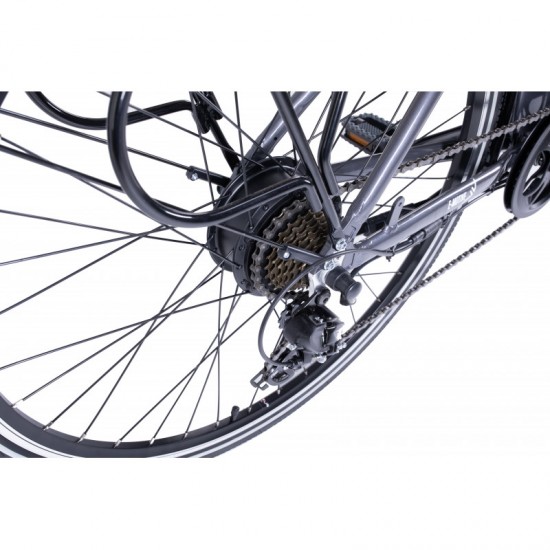 Elektriskais velosipēds DENVER EMOTIVE, izmērs 28